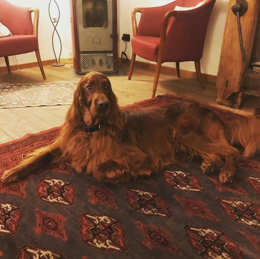 Albergo Aprica Garni エクステリア 写真